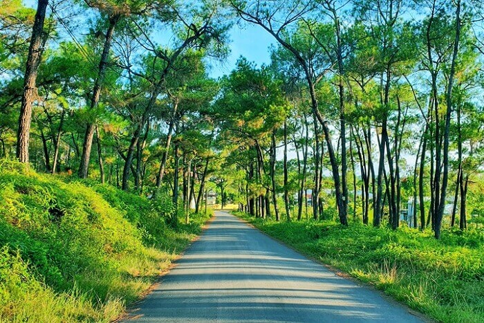 Review Đồi Thiên An Huế